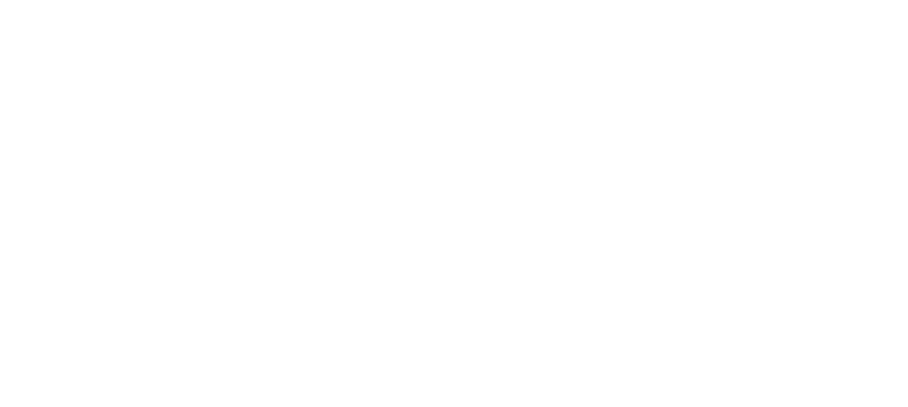 Logo Splash