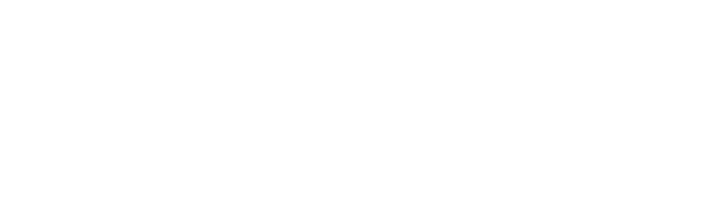 Logo Splash