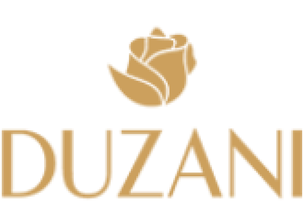 Logo Splash