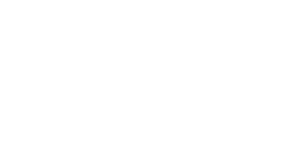 Logo Splash